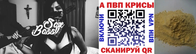 Купить  Новая Ладога  А ПВП крисы CK 