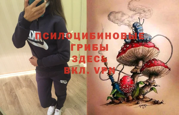 мет Балахна